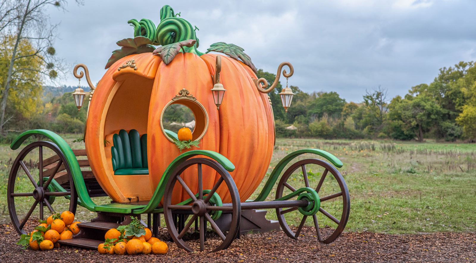 Pumpkin picking at Wasing
